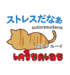 面白い猫日本語タイ語（個別スタンプ：6）