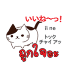 面白い猫日本語タイ語（個別スタンプ：17）