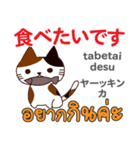 面白い猫日本語タイ語（個別スタンプ：19）