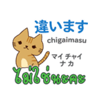 面白い猫日本語タイ語（個別スタンプ：22）