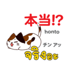 面白い猫日本語タイ語（個別スタンプ：23）