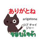 面白い猫日本語タイ語（個別スタンプ：24）