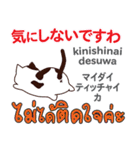 面白い猫日本語タイ語（個別スタンプ：37）