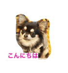 モモララ その3（個別スタンプ：1）