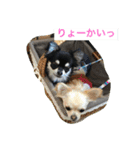 モモララ その3（個別スタンプ：5）