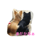 モモララ その3（個別スタンプ：11）