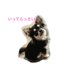 モモララ その3（個別スタンプ：12）