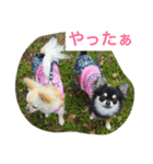 モモララ その3（個別スタンプ：14）