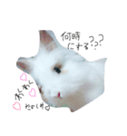 うさぎのジェラたん 。（個別スタンプ：4）