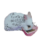 うさぎのジェラたん 。（個別スタンプ：9）