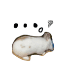 うさぎのジェラたん 。（個別スタンプ：13）