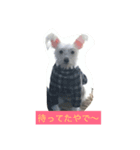 うちのペーター（個別スタンプ：5）