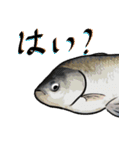 生くさい（個別スタンプ：7）