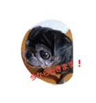 愛犬✨ひめ（個別スタンプ：6）