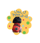 大好きMダックス（個別スタンプ：6）