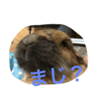 らぶ太じぃちゃんの日常。（個別スタンプ：2）