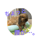 らぶ太じぃちゃんの日常。（個別スタンプ：5）