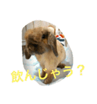 らぶ太じぃちゃんの日常。（個別スタンプ：8）