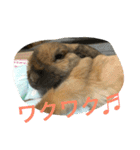らぶ太じぃちゃんの日常。（個別スタンプ：9）