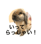 らぶ太じぃちゃんの日常。（個別スタンプ：11）