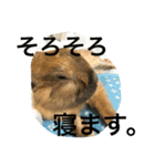 らぶ太じぃちゃんの日常。（個別スタンプ：12）
