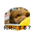 らぶ太じぃちゃんの日常。（個別スタンプ：13）