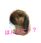 らぶ太じぃちゃんの日常。（個別スタンプ：15）