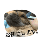 らぶ太じぃちゃんの日常。（個別スタンプ：19）
