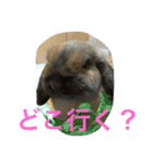 らぶ太じぃちゃんの日常。（個別スタンプ：20）