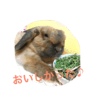 らぶ太じぃちゃんの日常。（個別スタンプ：22）