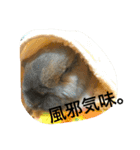 らぶ太じぃちゃんの日常。（個別スタンプ：24）
