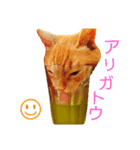♡コロスケポン♡（個別スタンプ：1）
