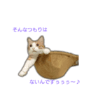 ♡コロスケポン♡（個別スタンプ：2）