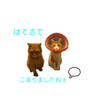 ♡コロスケポン♡（個別スタンプ：4）