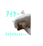 ♡コロスケポン♡（個別スタンプ：7）