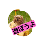 桃＆華（個別スタンプ：1）
