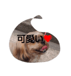桃＆華（個別スタンプ：2）