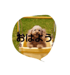 桃＆華（個別スタンプ：4）