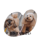 桃＆華（個別スタンプ：7）