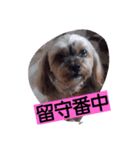 桃＆華（個別スタンプ：8）
