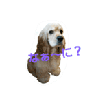 Go！Go！バーボン♪)))（個別スタンプ：1）
