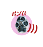 Go！Go！バーボン♪)))（個別スタンプ：5）