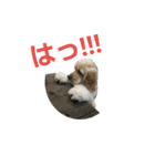 Go！Go！バーボン♪)))（個別スタンプ：6）