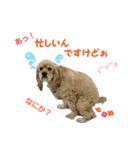 Go！Go！バーボン♪)))（個別スタンプ：11）