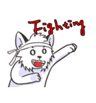White lion！（個別スタンプ：7）