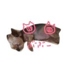 クレリリ（個別スタンプ：4）