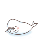 White Whale 02（個別スタンプ：5）