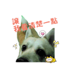 Niu Niu dog（個別スタンプ：7）