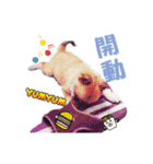 Niu Niu dog（個別スタンプ：8）