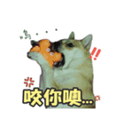 Niu Niu dog（個別スタンプ：12）